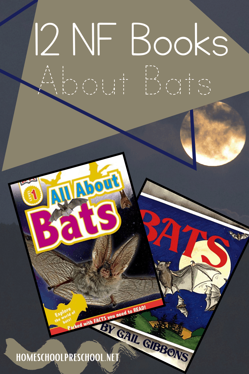 Nonfiction Books About Bats