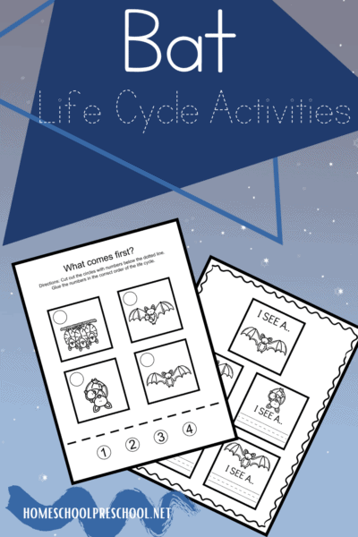 Free Printable Life Cycle of a Bat Worksheets for Preschool