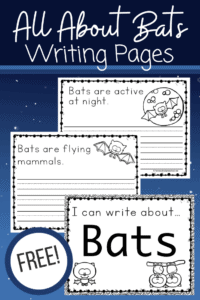 All About Bats for Kids