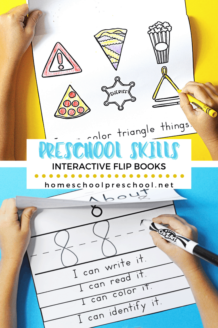 Preschool Basic Skills Flip Books