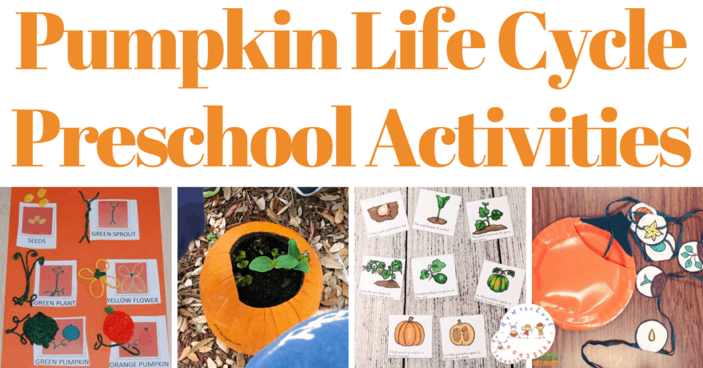 pumpkin-life-cycle-activities-1024x536 Pumpkin Life Cycle Preschool Activities