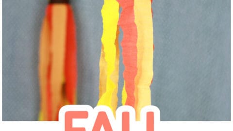 Fall-Windsock-Toilet-Paper-Roll-Craft-Idea-for-Kids-480x270 Thanksgiving Toilet Paper Roll Crafts