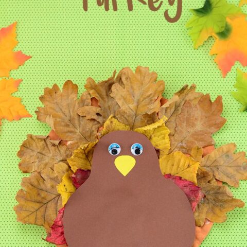 Paper-Plate-Turkey-480x480 Thanksgiving Crafts for Kids