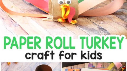 Toilet-Paper-Roll-Turkey-Craft-for-Kids-480x270 Thanksgiving Toilet Paper Roll Crafts