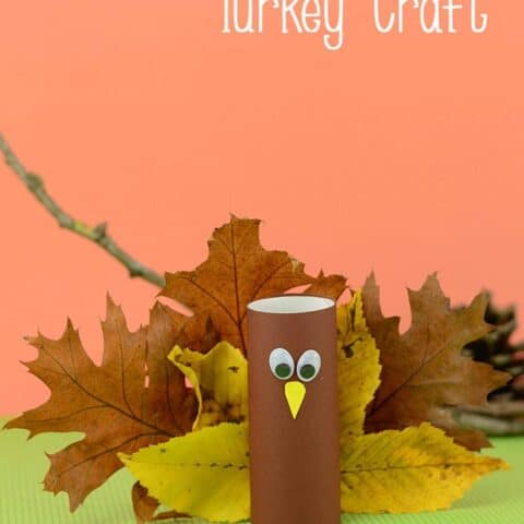 Toilet-Paper-Roll-Turkey-Craft-with-Leaves-480x480 Thanksgiving Crafts for Kids