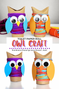Toilet Paper Roll Owl Craft