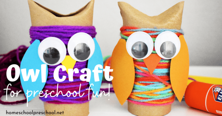 owl-craft-fb-735x385 Cardboard Tube Animals