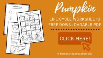 Free Pumpkin Life Cycle Printable for Preschoolers