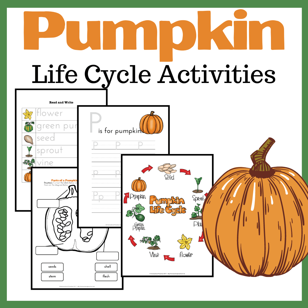 Preschool Life Cycle of a Pumpkin Printable for Fall