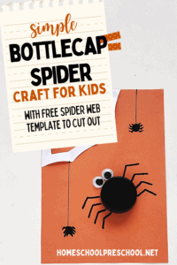 Spider Craft for Preschoolers