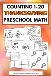 Thanksgiving Math Pages