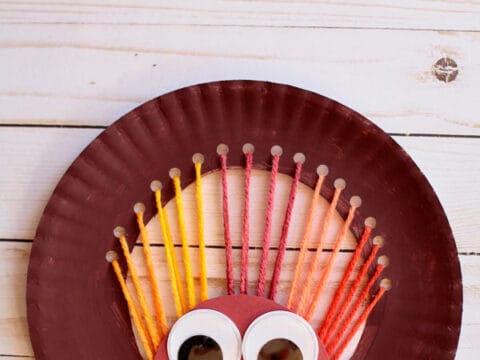 Image for Yarn and paper plate turkey craft