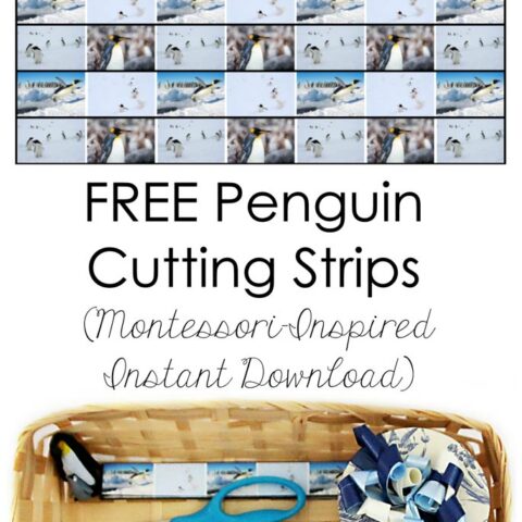 Free-Penguin-Cutting-Strips-Montessori-Inspired-Instant-Download-480x480 Penguin Activities for Preschoolers