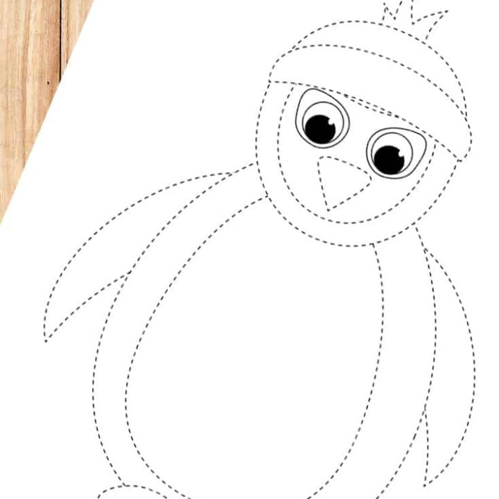 Penguin-Tracing-Coloring-Page-720x720 Penguin Activities for Preschoolers