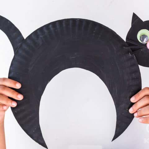 paper-plate-black-cat-FB-480x480 Cat Crafts for Preschoolers