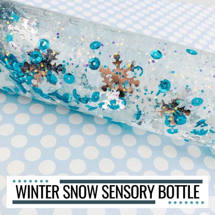 winter-snowflake-sensory-bottle-735x735 Winter Crafts
