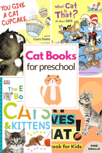 Cat Books for Preschoolers