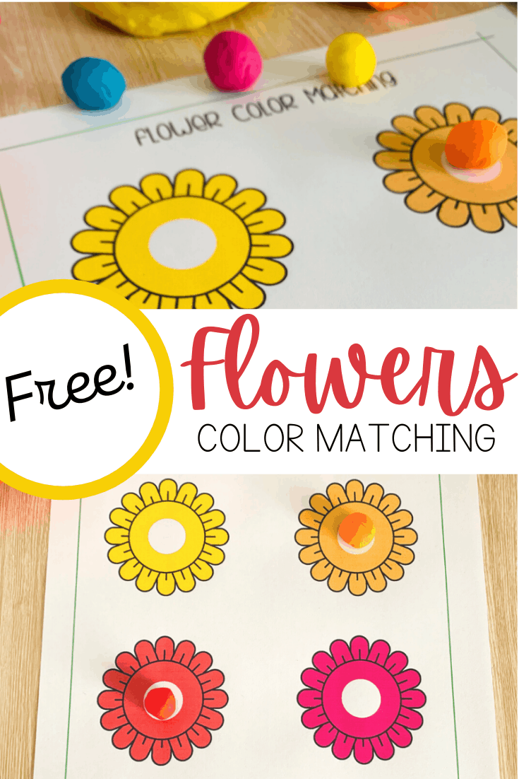 Flower Color Matching Worksheet