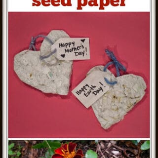 seed2Bpaper-320x320 Valentine STEM Activities