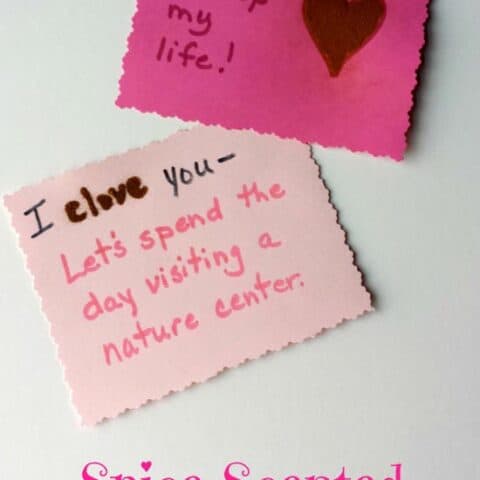 spicevalentines-480x480 Homemade Valentines Card Ideas