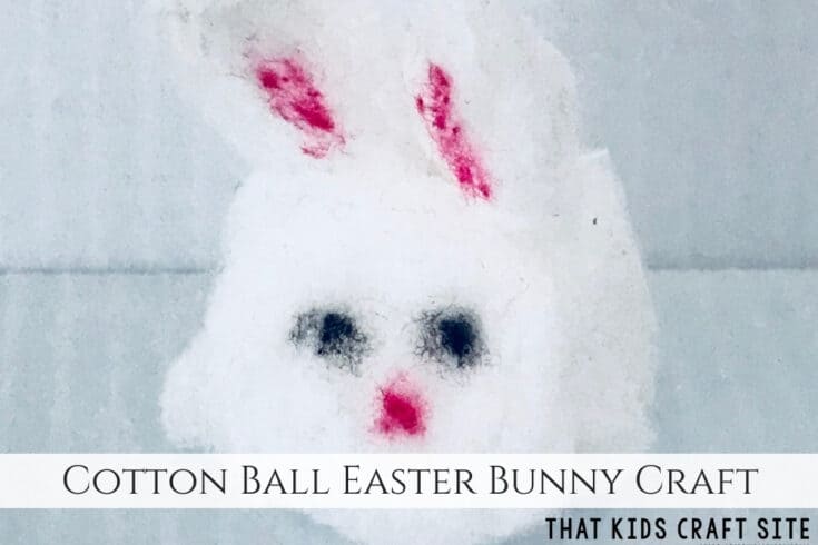 Cotton-Ball-Easter-Bunny-Craft-Easy-Easter-Craft-for-Kids-ThatKidsCraftSite.com_-735x490 Spring Animal Crafts