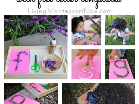 Image for Tactile Nature Letters