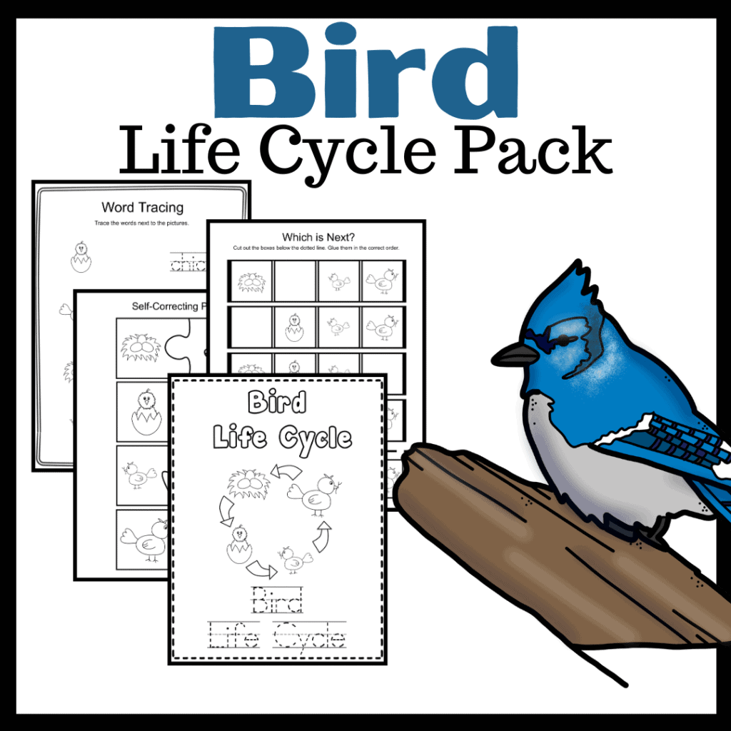 bird-life-cycle-tpt-1024x1024 Life Cycle of a Fish for Kids