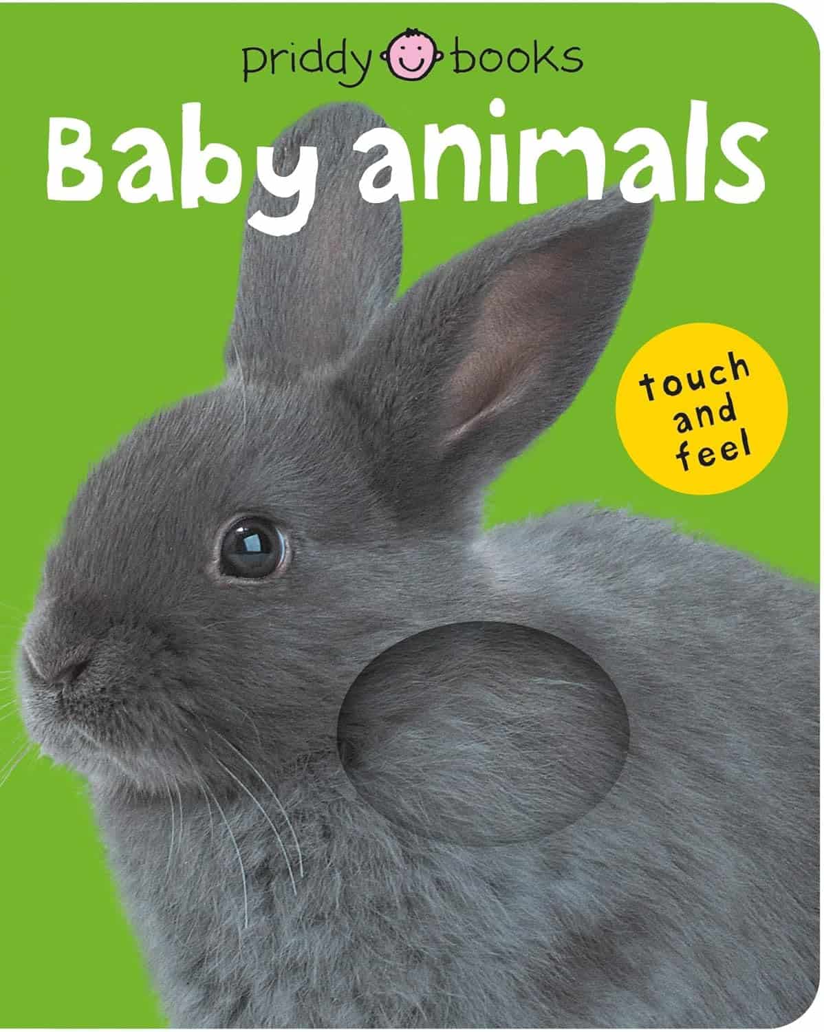 Adorable Bunny Books for Toddlers and Preschoolers