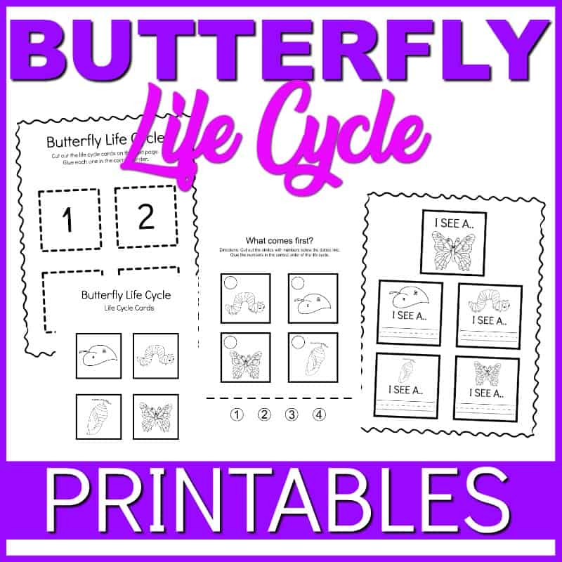 BUTTERFLYLCPrintables3 Life Cycle of a Butterfly