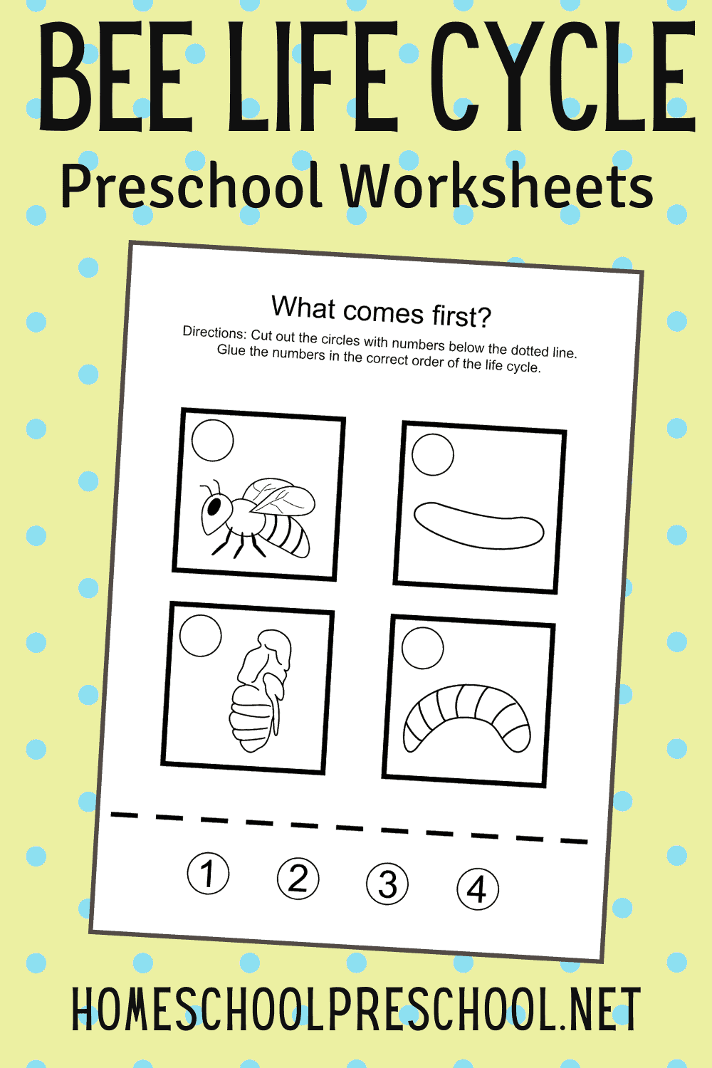 Printable Bee Life Cycle for Kids Worksheets