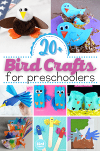 Bird Crafts for Preschoolers