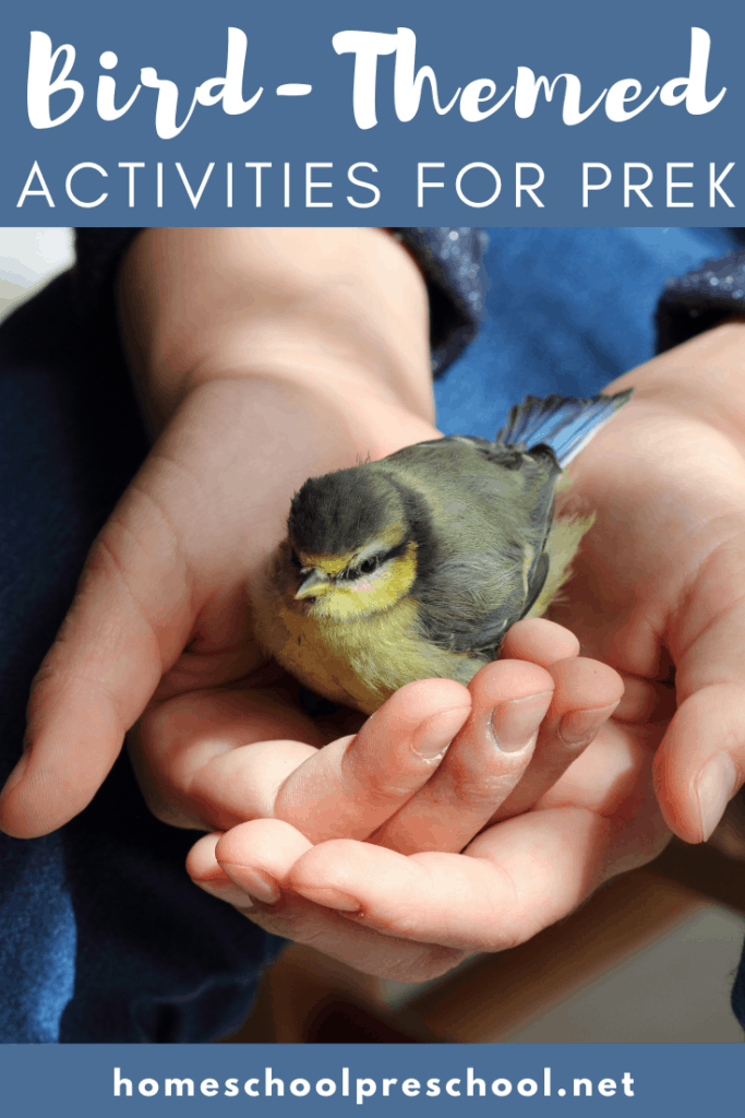 bird-lp-2-683x1024 Bird Activities for Preschoolers