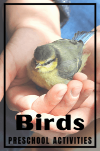 Bird Activities for Preschoolers