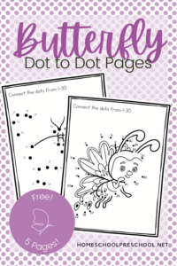 Butterfly Dot to Dot Worksheets