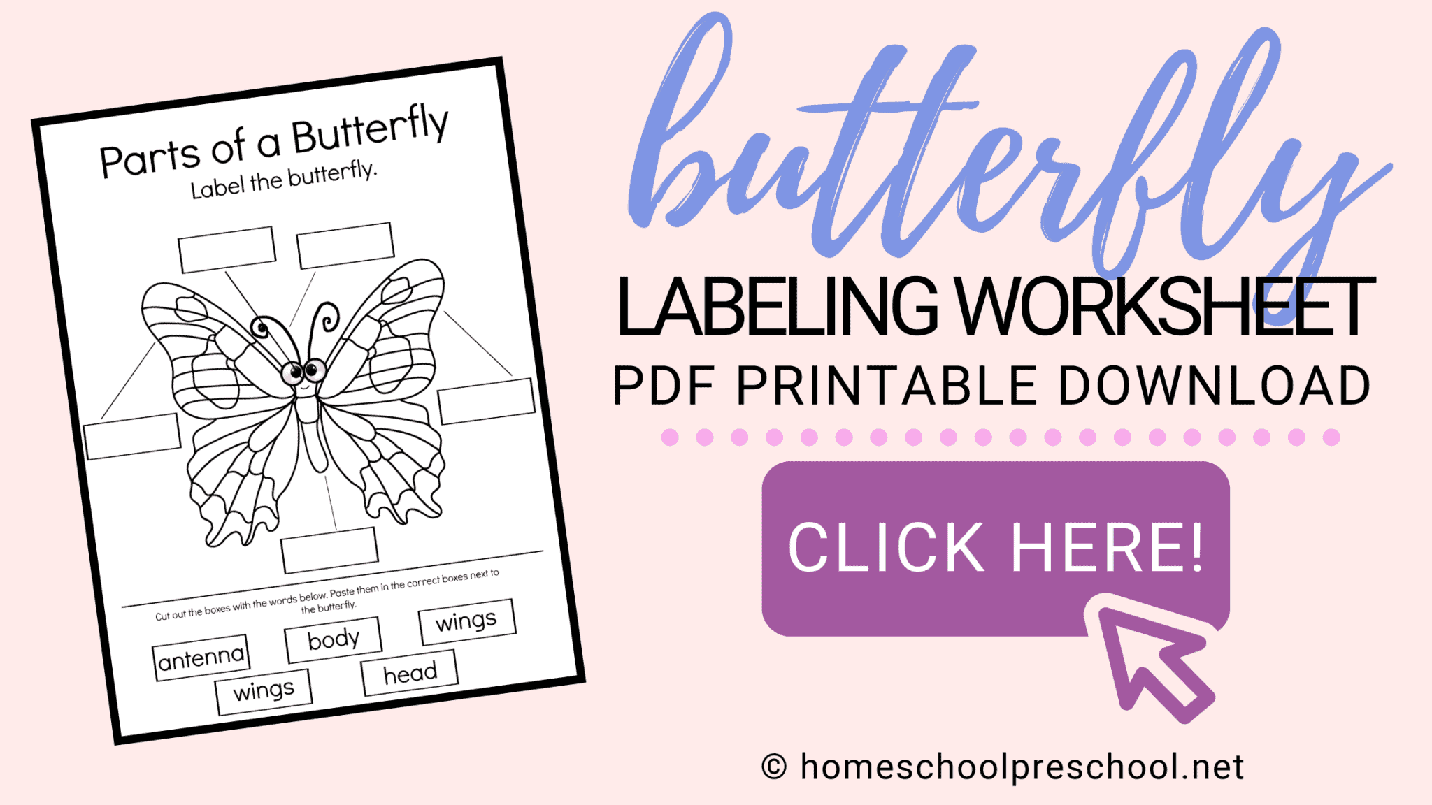 Printable Parts of a Butterfly Worksheet for Preschool