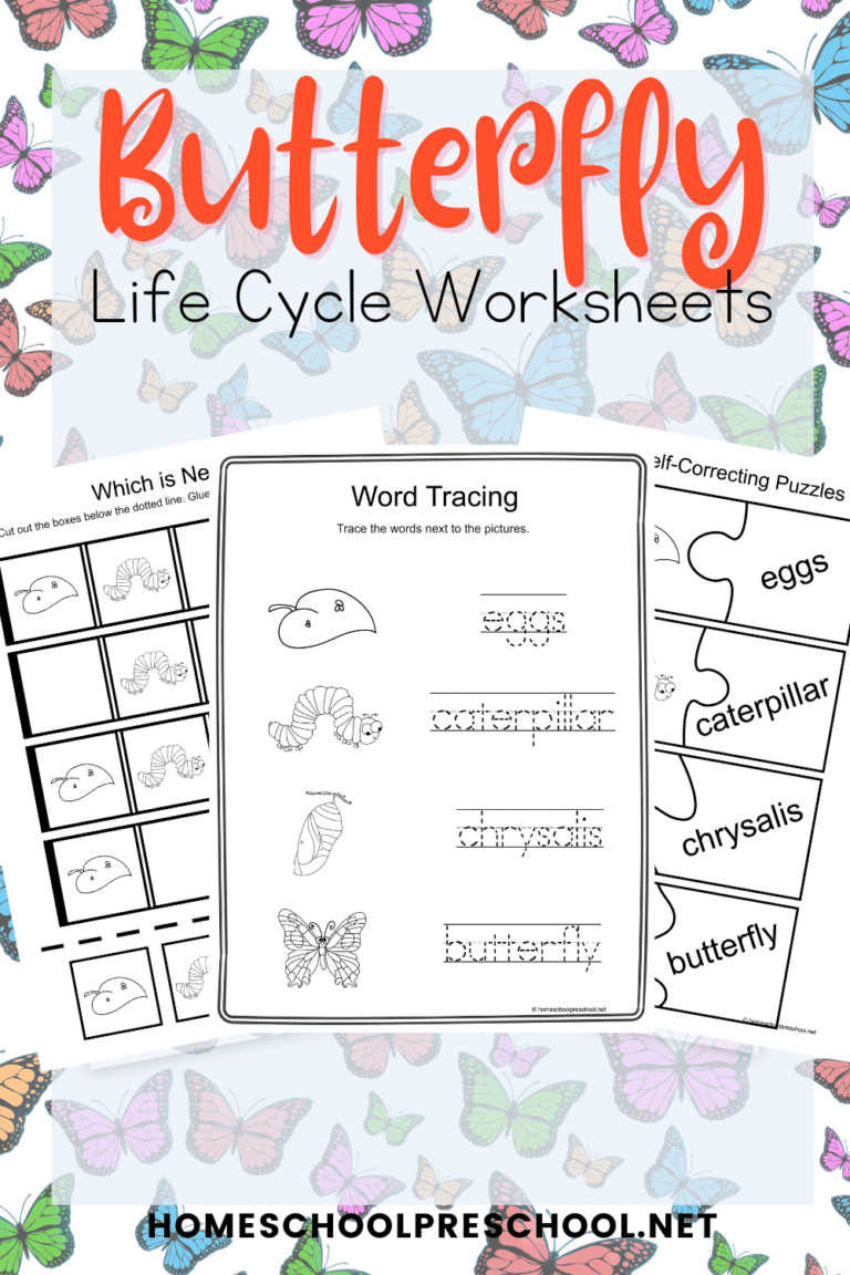Life Cycle of a Butterfly for Kids