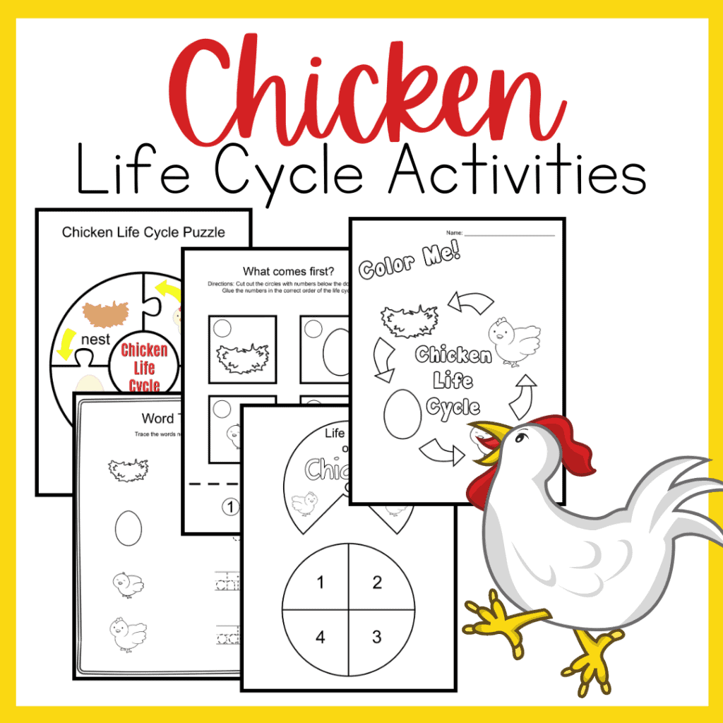 chicken-life-cycle-tpt-1024x1024 Printable Down on the Farm Activities