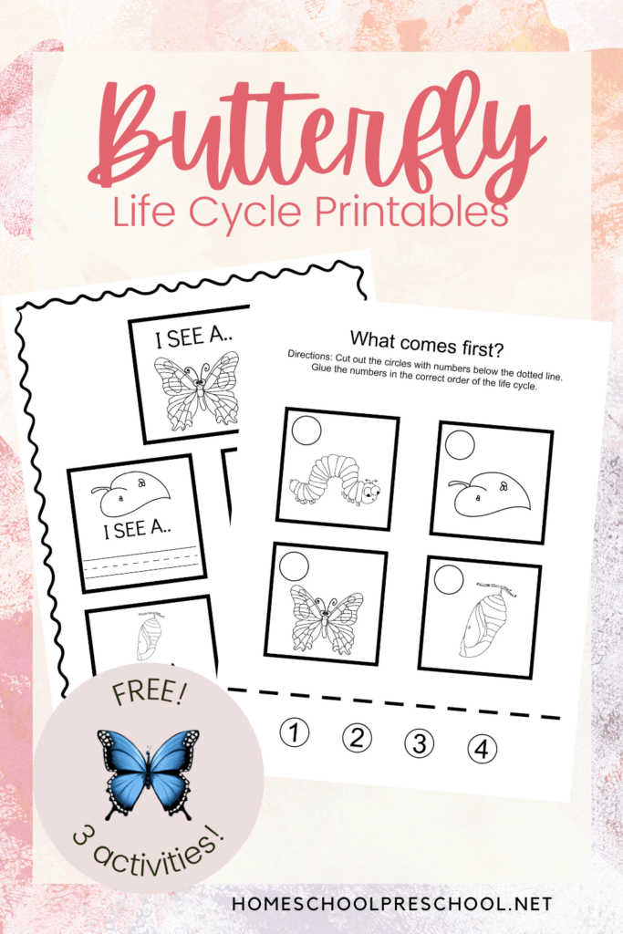 Printable Life Cycle of a Butterfly Activities for Preschool