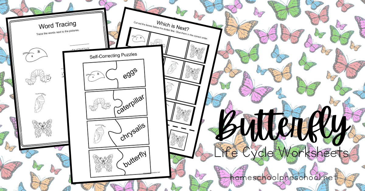 Printable Life Cycle of a Butterfly for Kids