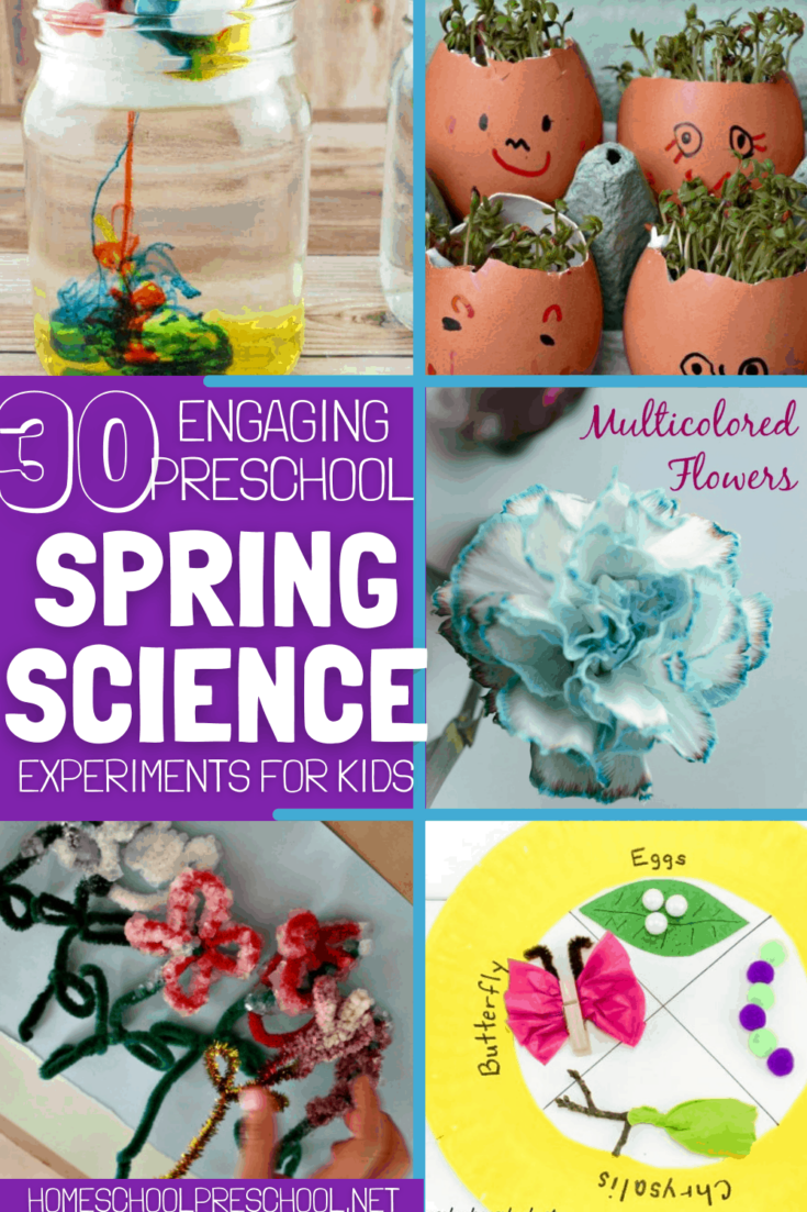 spring-science-1-735x1103 Hands-On Preschool Activities