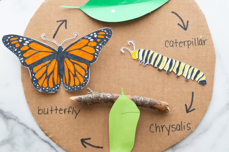 Butterfly-Life-Cycle-Cover-735x489 21 Monarch Butterfly Crafts for Preschoolers
