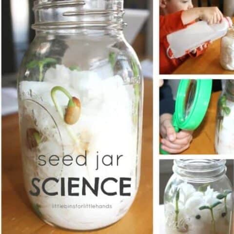 Seed-Jar-Spring-Science-Experiment-for-Kids-Plant-Science-480x480 Spring STEM Activities