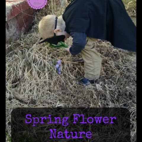 Spring-Flower-Nature-Scavenger-Hunt.jpgfit5002c700ssl1-480x480 Spring STEM Activities