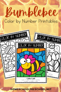 Color By Number Bee Worksheets