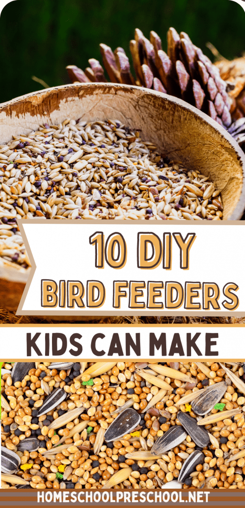 bird-feeders-3-495x1024 Simple Bird Feeders for Preschoolers