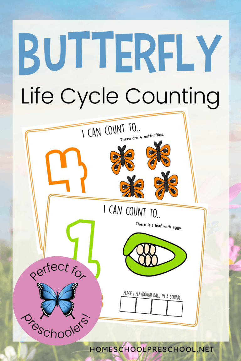 Life Cycle of a Butterfly Activity for Preschoolers