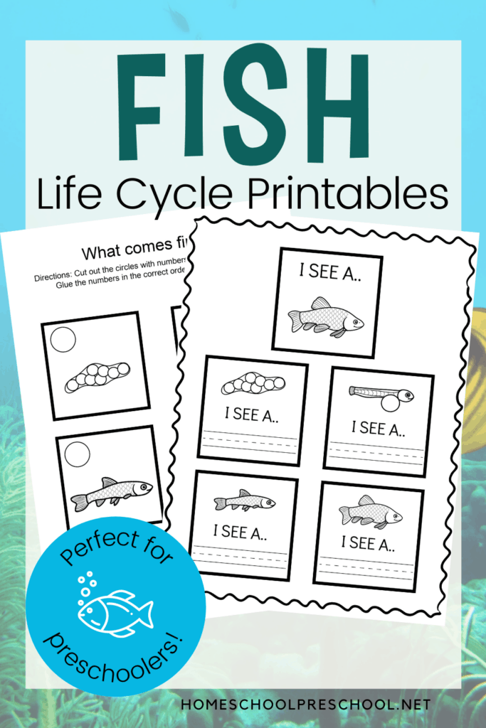 fish-lc-1-683x1024 Life Cycle of a Fish for Kids