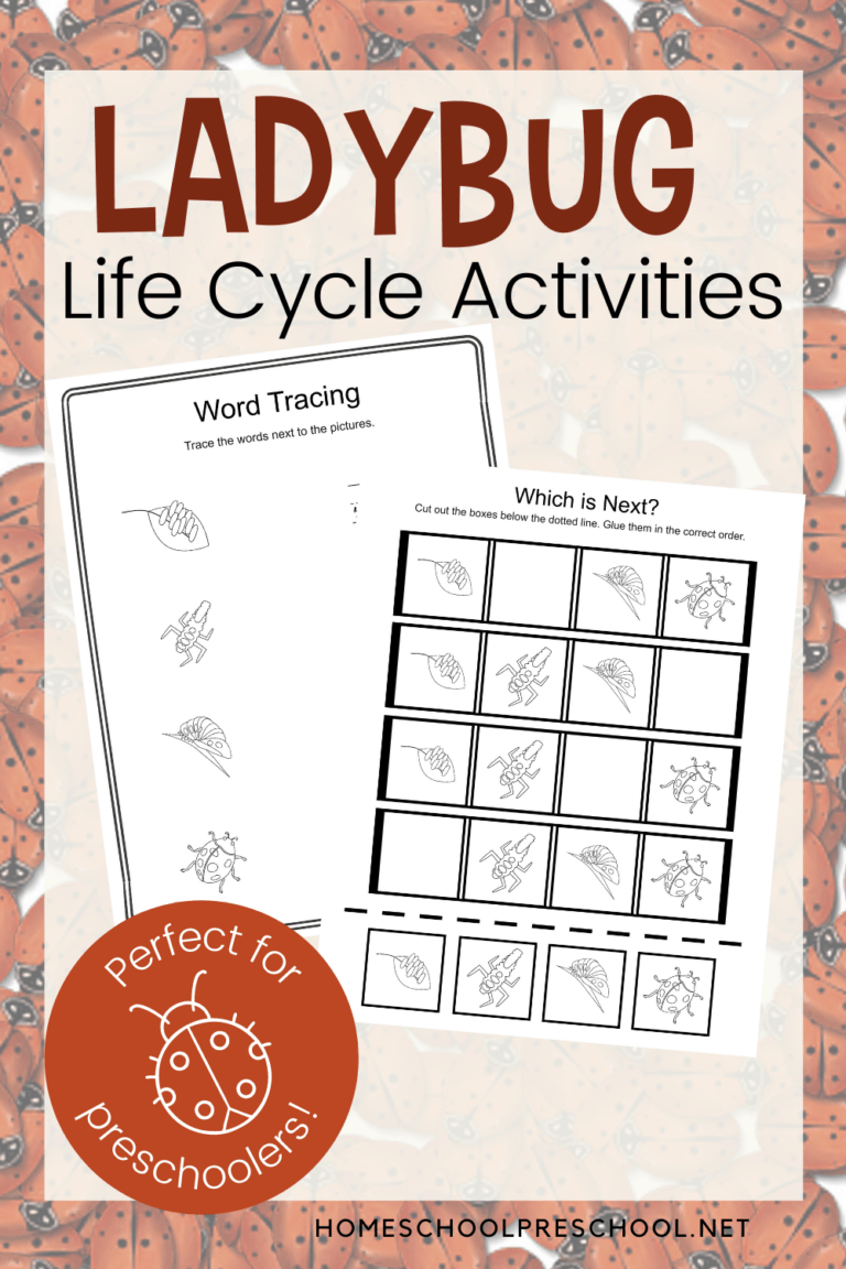 Ladybug Life Cycle for Kids