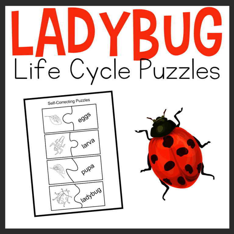 Printable Ladybug Life Cycle for Kids Worksheets