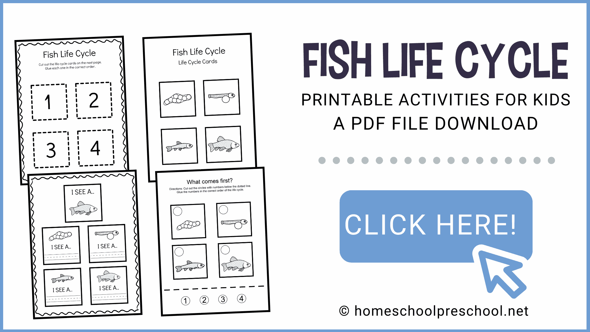 lc-fish-download Life Cycle of a Fish for Kids